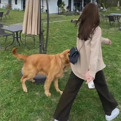沙漠中的玫瑰